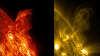 How Close We Came to Disaster | S0 News Feb.21.2025