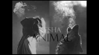Kesha - Animal (Switch Remix)