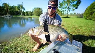 GOPRO Strapped On 12lb Largemouth BASS!! (Underwater Footage!)