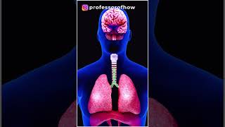 Download lagu 'Shocking' science behind SNEEZING! - By Kishor Singh #shorts mp3