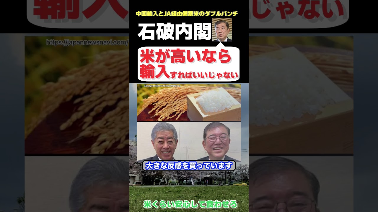 石破内閣さん　国内の米不足をまるで知らないかの動きで国民を◯め抜いてしまう・・・　【政治ニュース】