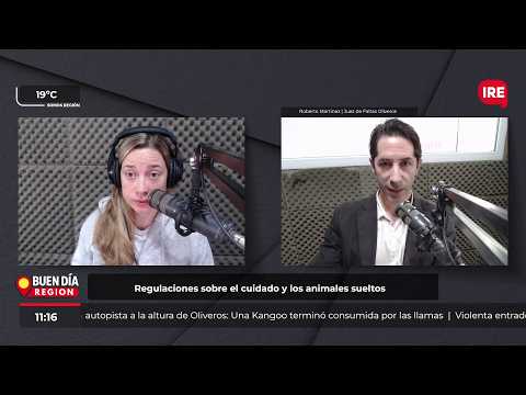 Oliveros: Un caballo suelto embistió a un niño que entraba a la escuela