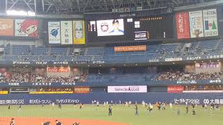 2019年8月24日 北海道日本ハムファイターズ スタメン発表