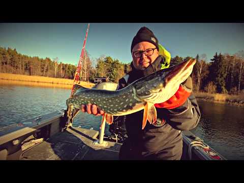 Haukikoira Vornasen kanssa kalassa – Moottori testasi hauenpyyntiä kalastusoppaan opastuksella.