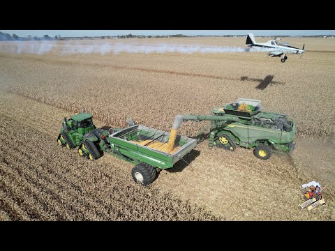 CORN HARVEST 2022 with 3 JOHN DEERE X9 Combines