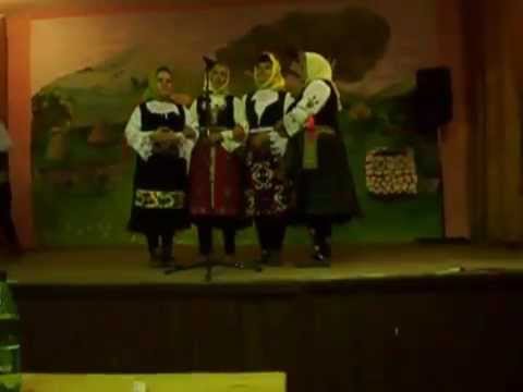 KUD "Dj. Jaksic" Sumrakovac - Ljubisa Stojanovic na fruli i zenska pevacka grupa