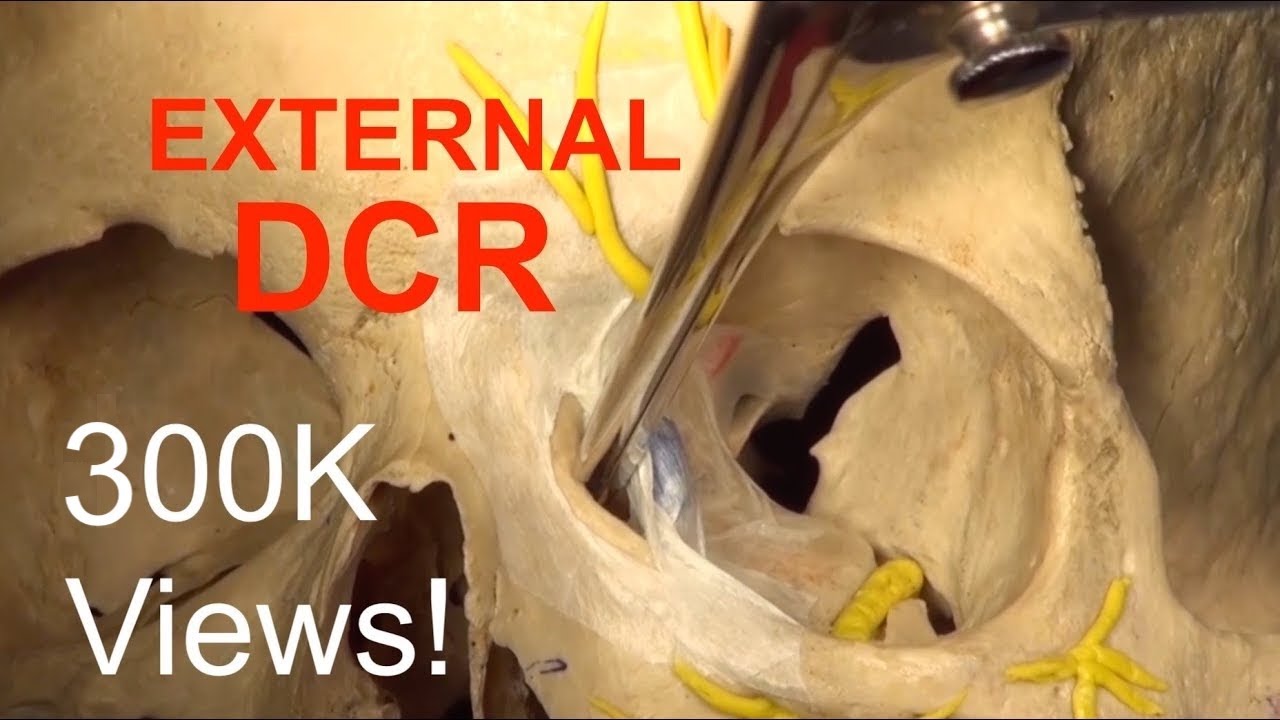 Mariana Zaíra Ribeiro-24