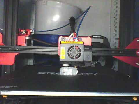 Zeitraffer Bunny LowPoly 2019-02-22