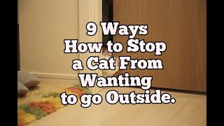 How to Stop a Cat From Wanting to go Outside