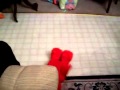 Tickle Me Elmo For XMAS