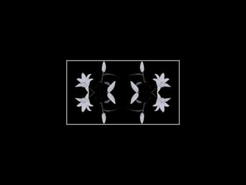 Lukass Edgars - 22/10