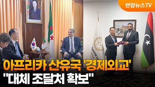아프리카 산유국 '경제외교'…대체 조달처 확보 / 연합뉴스TV (YonhapnewsTV)