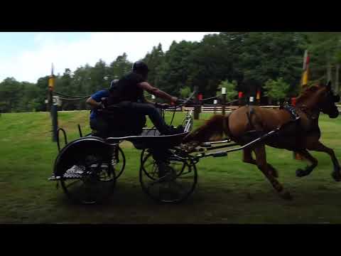 Fahrturnier Alfhausen 22.5.2022