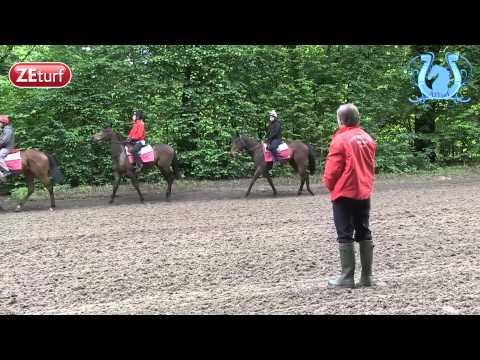 ZAPPING A2TURF MAI 2014 Part 2 - A2TURF.COM