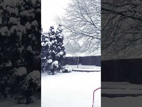 It’s a Winter Wonderland🌨️❄️ #winter #snowman #snow #winterwonderland #winterdays