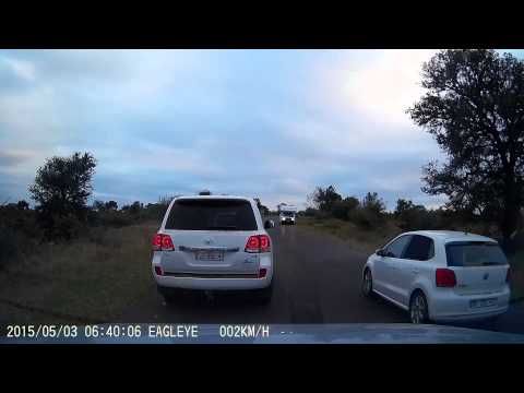 Dashcam Kruger park- Vurhami pride -1