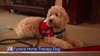 Local Funeral Home Adds Therapy Dog to Team