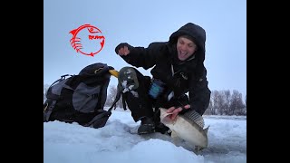 Зим рыбалка на гирлянду