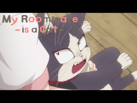 Minions | My Roommate is a Cat