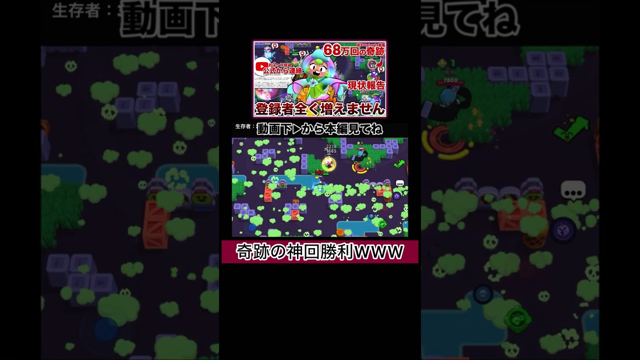 ダンボールバカネコ粉砕したら奇跡起きたWWWWW【ブロスタ】