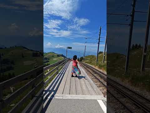 dil to hai dil❤💖 #travel #creativecanvasbydebjani #exploretheworld #selflove #debjani