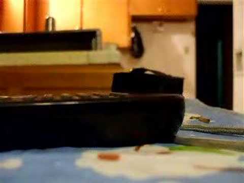 CESAR VIZ CANTANDO 2