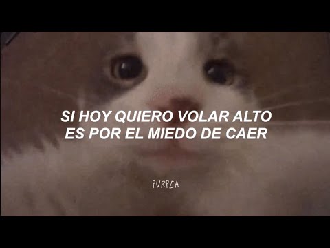 Alan Sutton y las criaturitas de la ansiedad - Algo tiene que cambiar / Letra