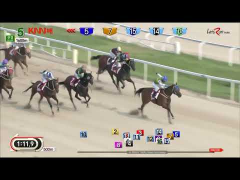 KNN Cup 2019 - Silver Wolf