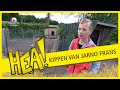 HEA! Jarno Frans en zijn kippen