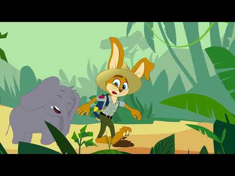 Koos ontdek de jungle | Koos voorleesverhalen | Deel 5