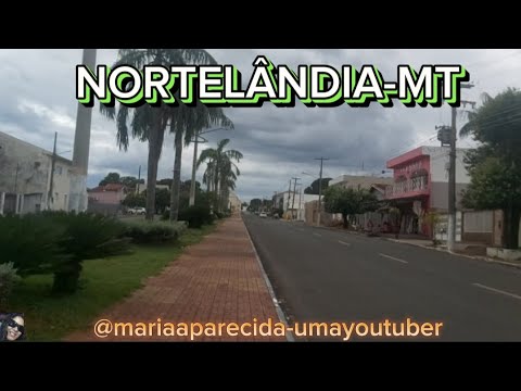 NORTELÂNDIA-MT ARARAS NA PRAÇA. #natureza #matogrosso