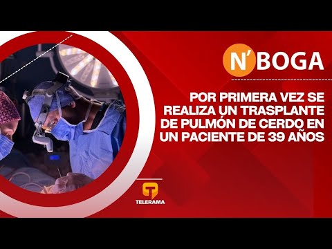 Por primera vez se realiza un trasplante de pulmón de cerdo en un paciente de 39 años