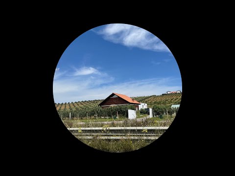 HOUSE #4 ( Deep House) - 2025 House Mix