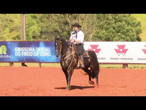 LOTE 14   ZILDA DOS CASTANHEIROS MONTADA