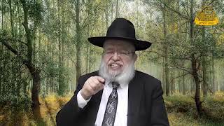 דף היומי בחצי שעה – בבא מציעא דף ט"ו