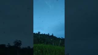 Download lagu viral.....! ngeri putus jalur Lintas, RBW umur 10 bln mp3 Download lagu viral.....! ngeri putus jalur Lintas, RBW umur 10 bln mp3