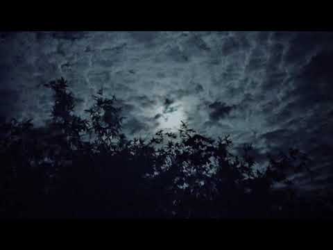 Drea Da Kidd X Boo Gudda - Coolin’ Tonight