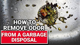 How To Remove Odor From A Garbage Disposal - Ace Hardware