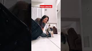 Download lagu Dani Daniels Dog|| Instagram Status||#shorts #tiktok #viral mp3