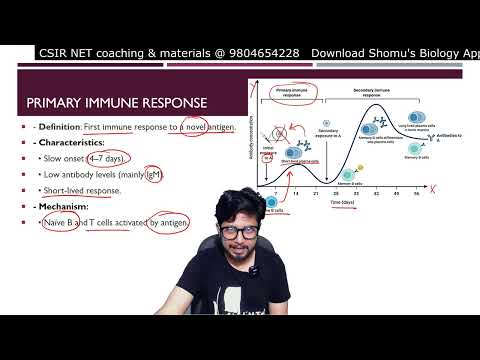 Inflammation animation Steps of inflammatory response Shomu s Biology