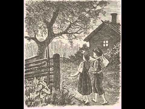 Koivu ja tähti B osa