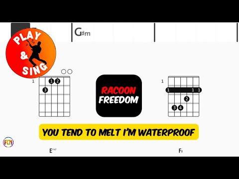 Freedom - Racoon