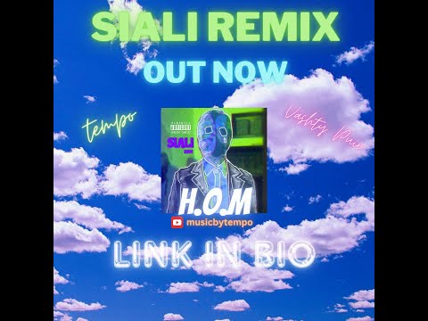 H.O.M - Siali ( Vashti Puii Cover) prod. by tempo