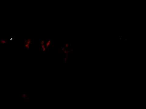 sputnik spring break 2008