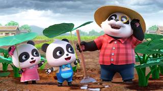 When the Sky Turns Dark | Fun Muddy Adventure | Funny Family Song for Kids | BabyBus