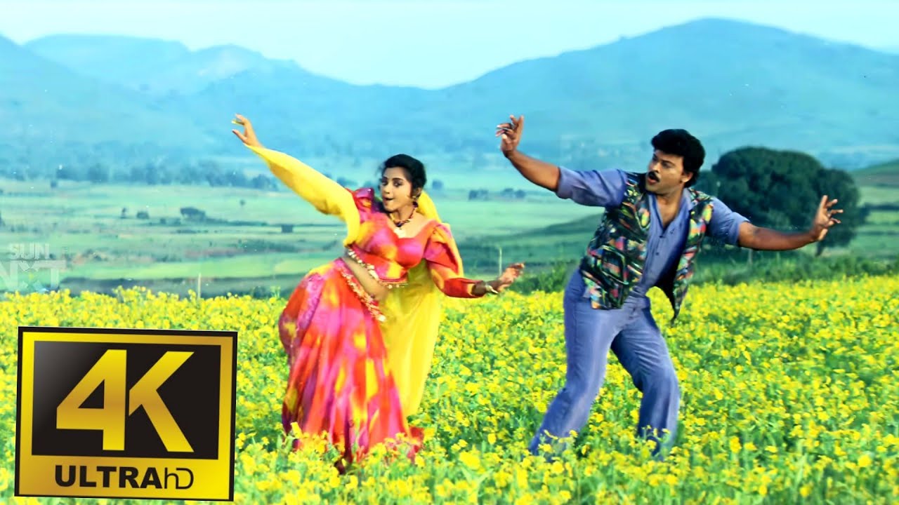 Anjani Putruda Video Song 4K || Muta -Mestri ||  Megastar Chiranjeevi|| Meena || Raj-Koti