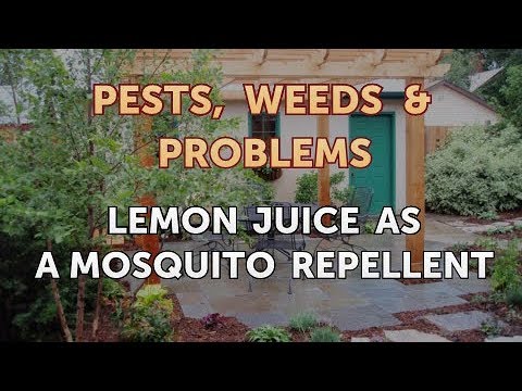 download lagu mp3 mp4 Does Lemon Juice Repel Mosquitoes, download lagu Does Lemon Juice Repel Mosquitoes gratis, unduh video klip Does Lemon Juice Repel Mosquitoes