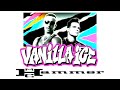 Vanilla Ice M C Hammer Ice Ice Baby U Can T Touch This
