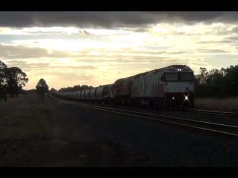 G532, 1872, T342 With an El Zorro grain train
