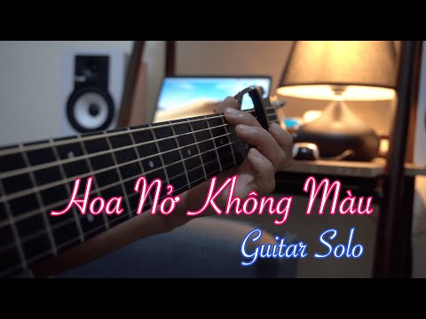 Hoài Lâm - Hoa Nở Không Màu - Guitar Solo